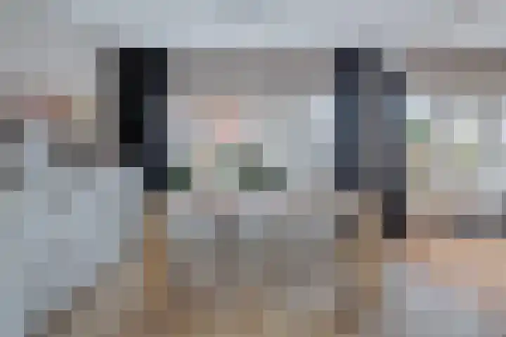 IJsvogel 80 Dokkum thumbnail 11