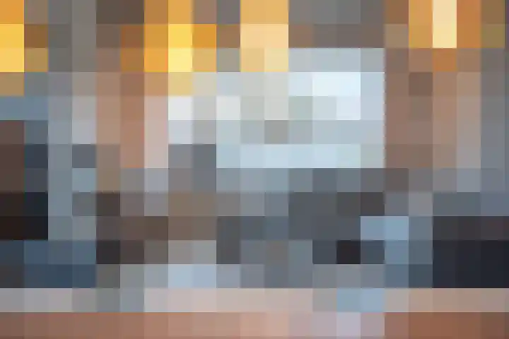 IJsvogel 80 Dokkum thumbnail 13