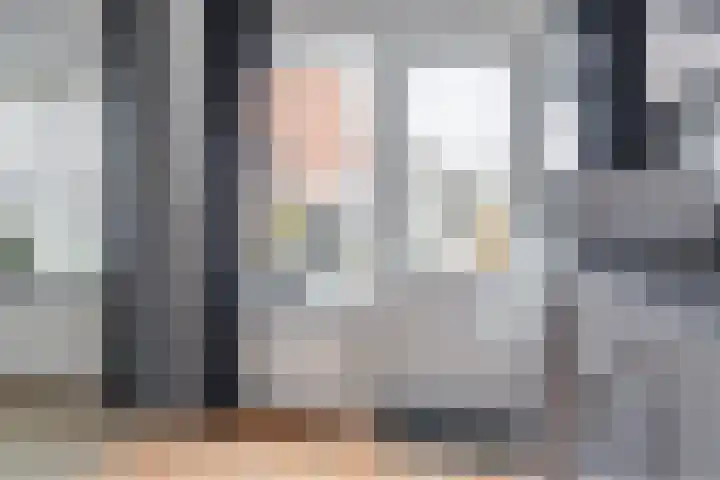 IJsvogel 80 Dokkum thumbnail 15