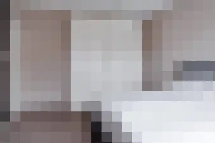 IJsvogel 80 Dokkum thumbnail 19