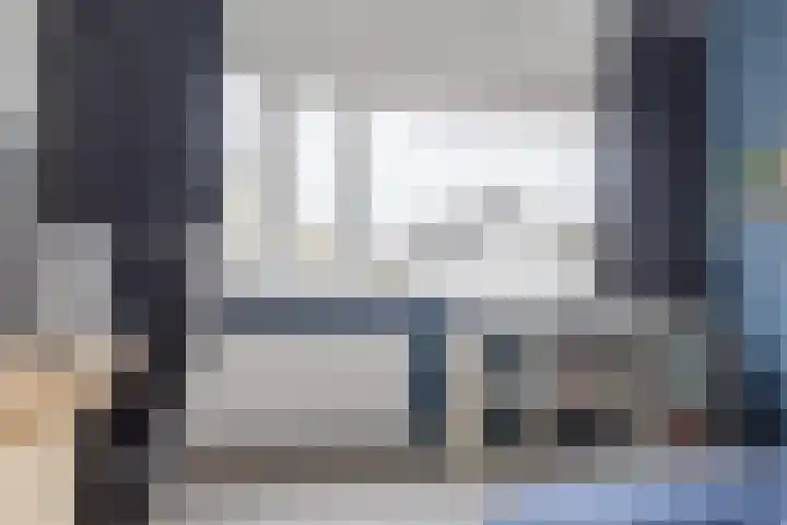 IJsvogel 80 Dokkum thumbnail 20