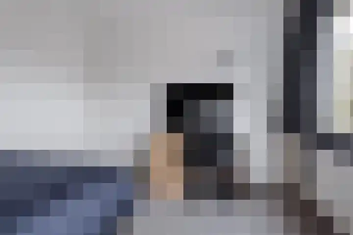 IJsvogel 80 Dokkum thumbnail 21