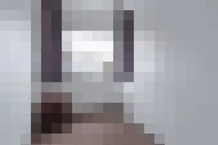 IJsvogel 80 Dokkum thumbnail 22
