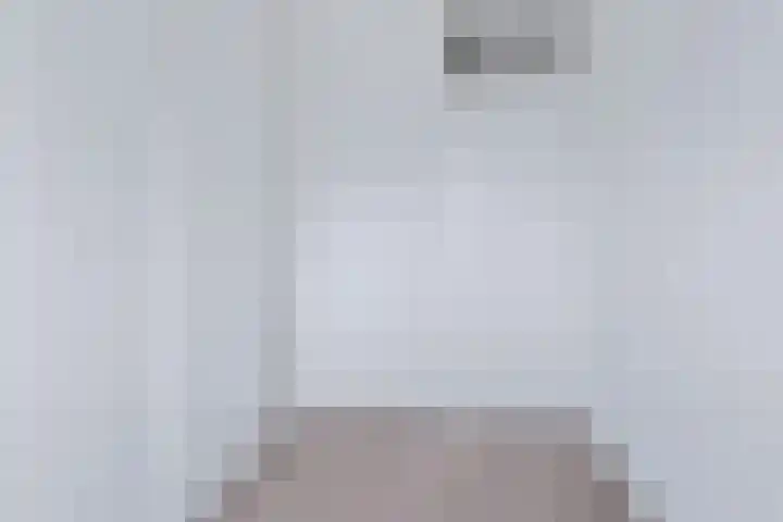IJsvogel 80 Dokkum thumbnail 23