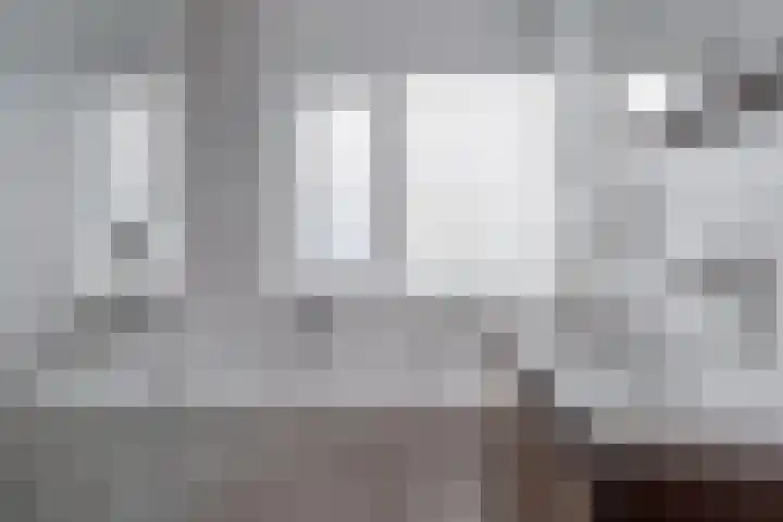 IJsvogel 80 Dokkum thumbnail 24