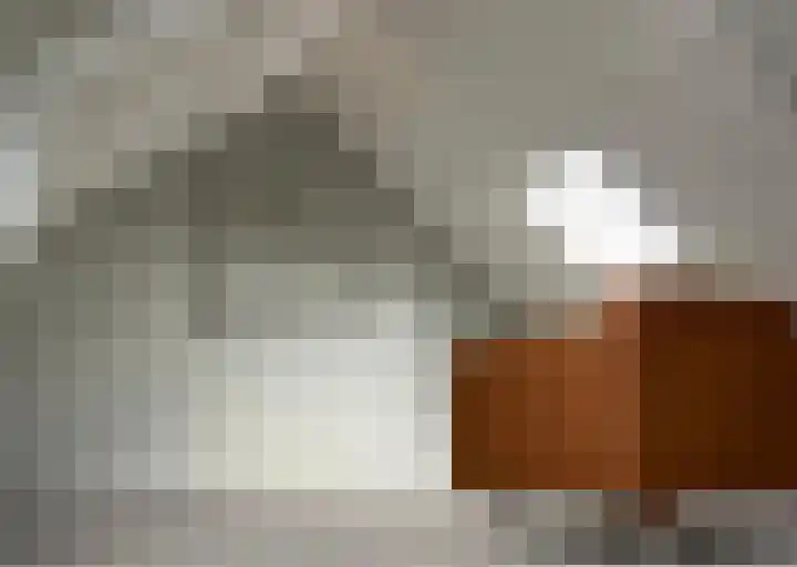 IJsvogel 80 Dokkum thumbnail 26