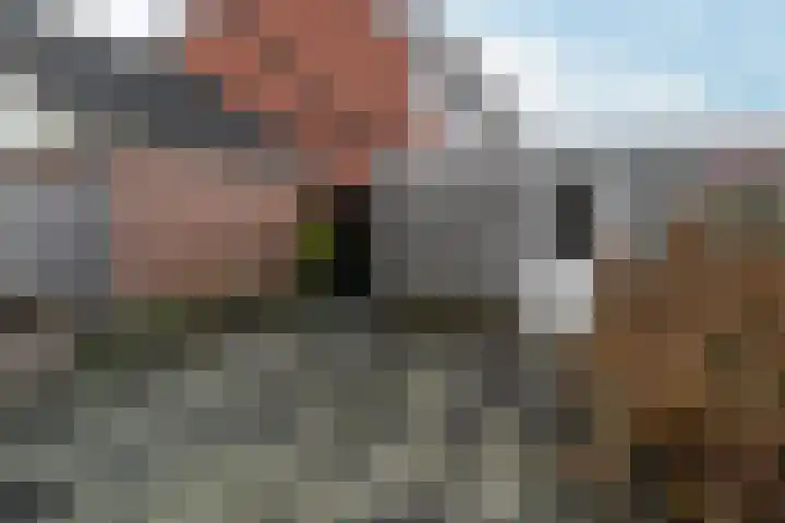 IJsvogel 80 Dokkum thumbnail 28