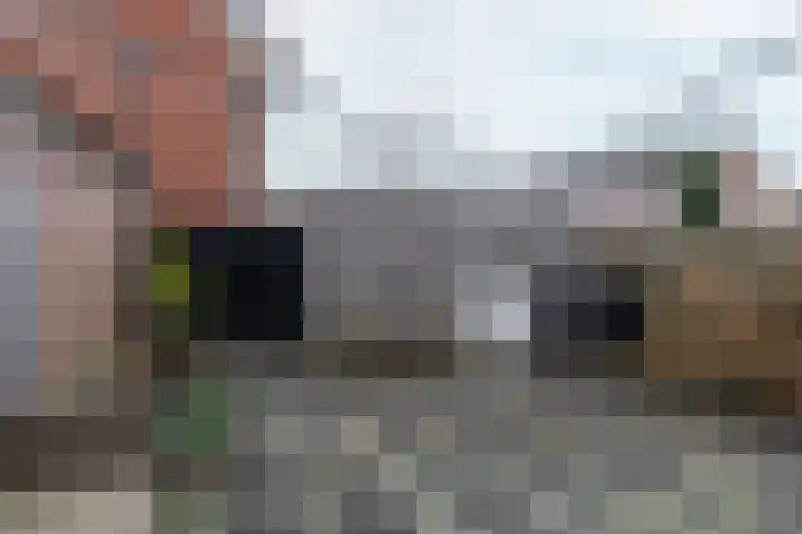 IJsvogel 80 Dokkum thumbnail 29