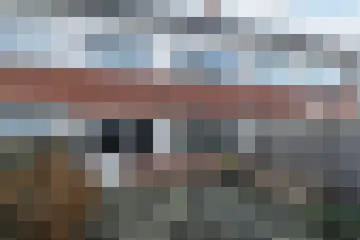 IJsvogel 80 Dokkum thumbnail 30