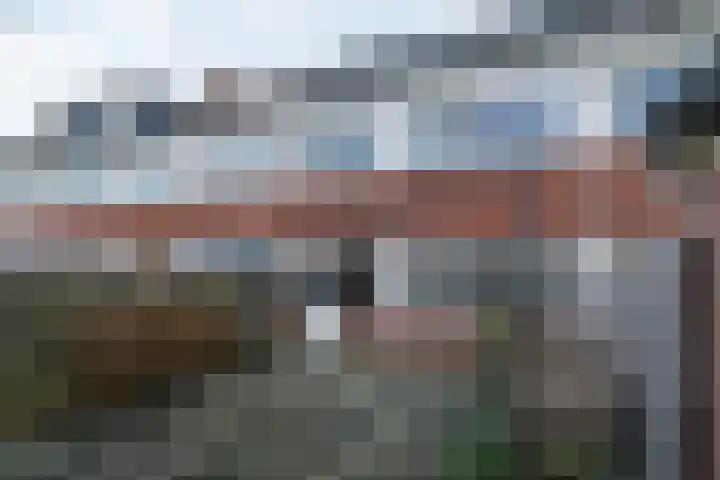 IJsvogel 80 Dokkum thumbnail 31