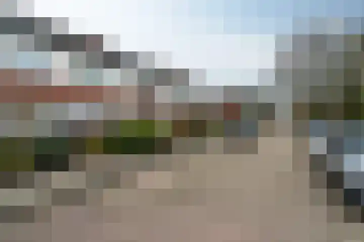 IJsvogel 80 Dokkum thumbnail 32