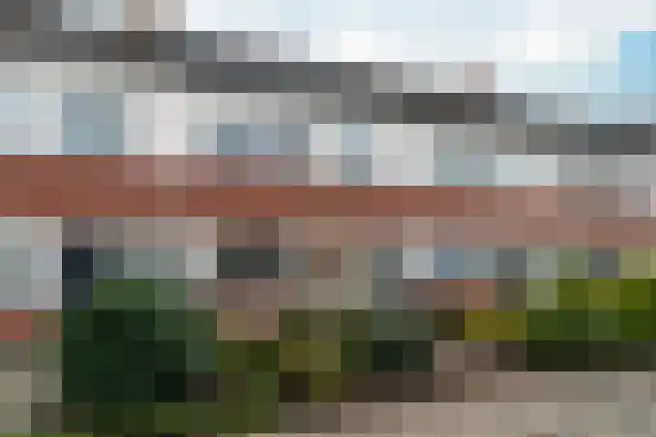 IJsvogel 80 Dokkum thumbnail 33