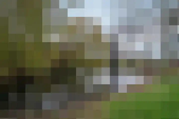 IJsvogel 80 Dokkum thumbnail 34