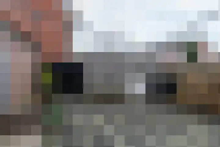 IJsvogel 80 Dokkum thumbnail 4