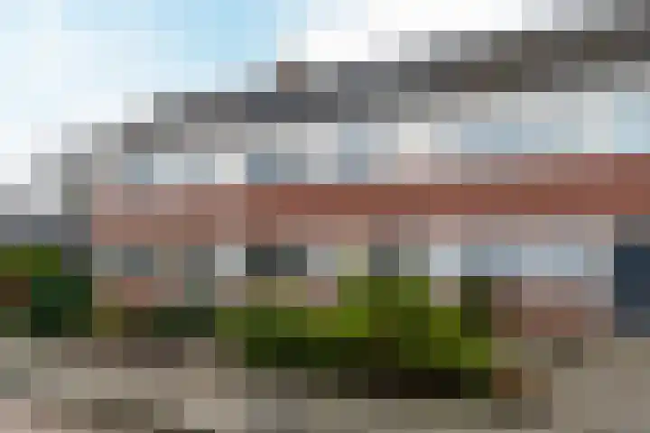 IJsvogel 80 Dokkum thumbnail 5