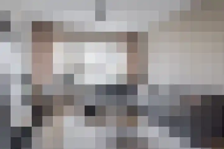 IJsvogel 80 Dokkum thumbnail 6