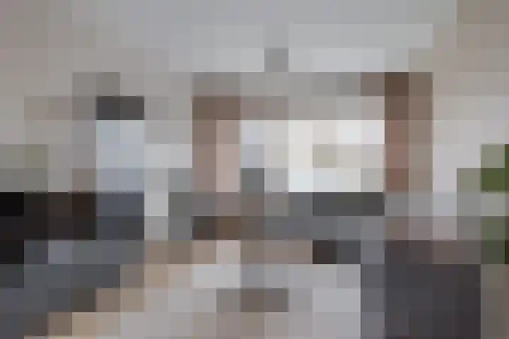 IJsvogel 80 Dokkum thumbnail 7