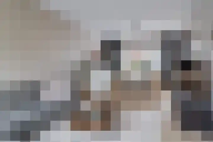 IJsvogel 80 Dokkum thumbnail 8