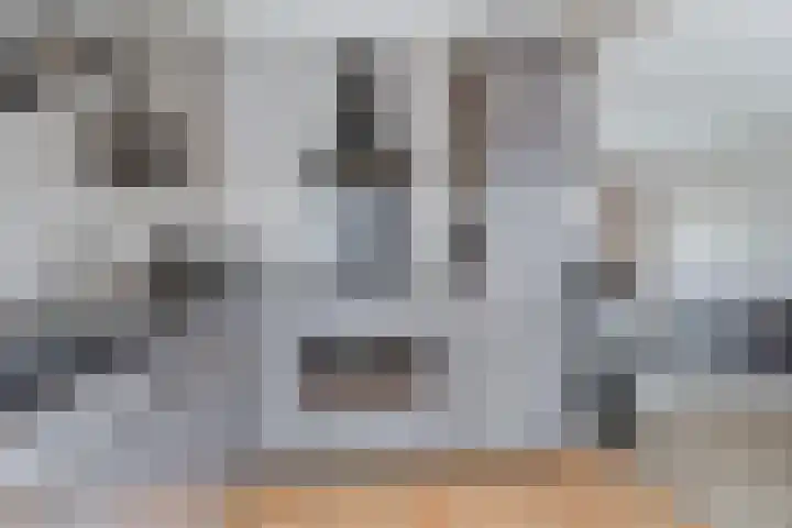 IJsvogel 80 Dokkum thumbnail 9