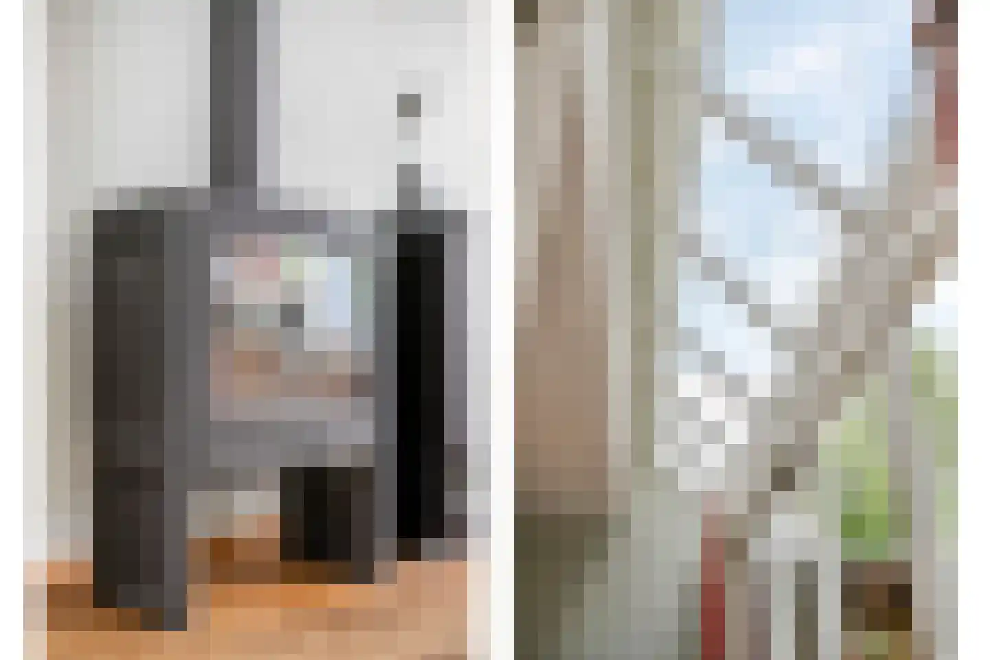 IJsvogel 80 Maarssen thumbnail 10