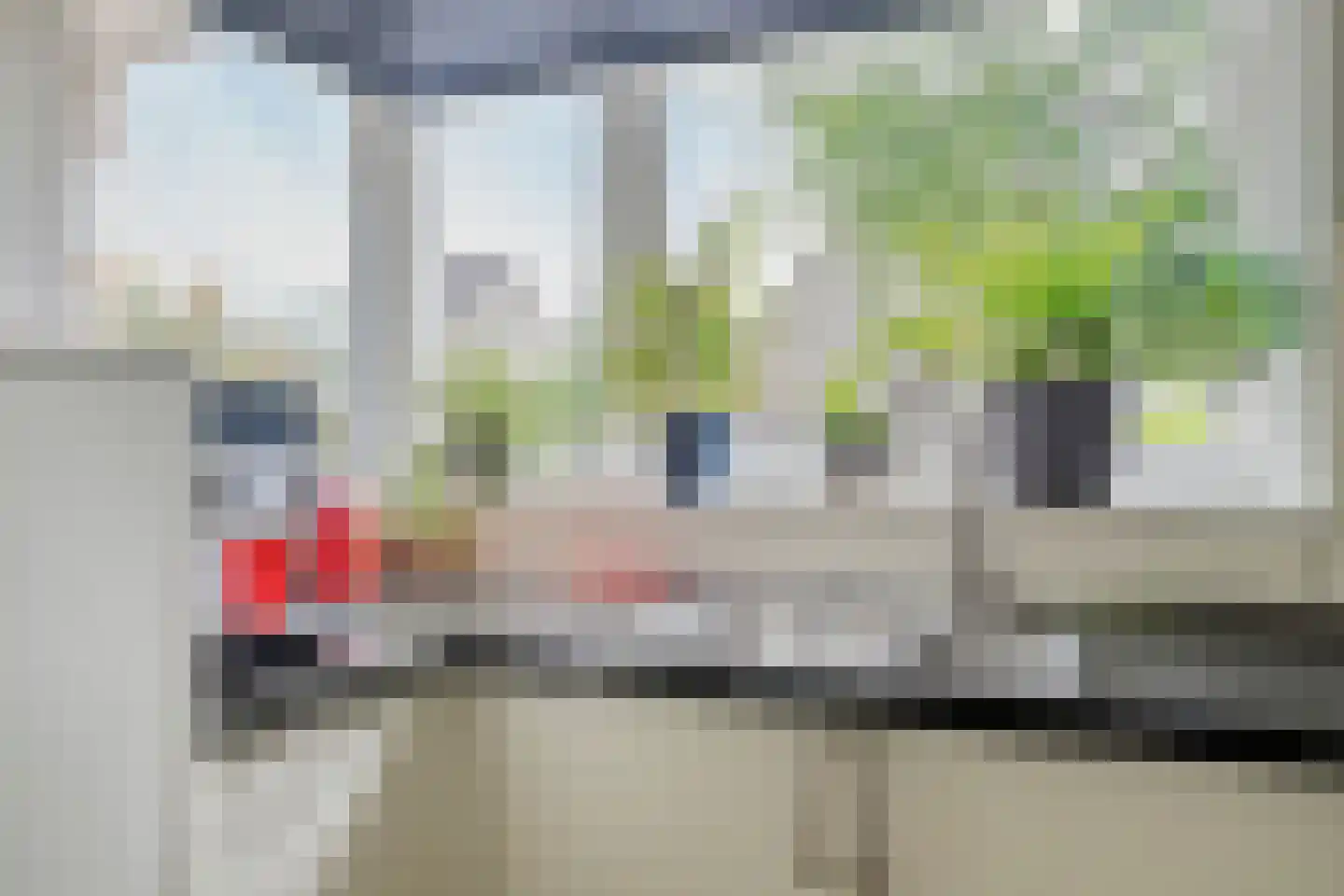 IJsvogel 80 Maarssen thumbnail 12