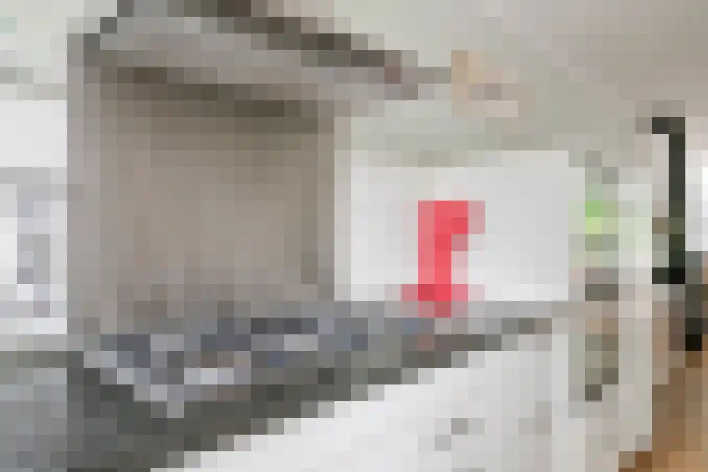 IJsvogel 80 Maarssen thumbnail 13