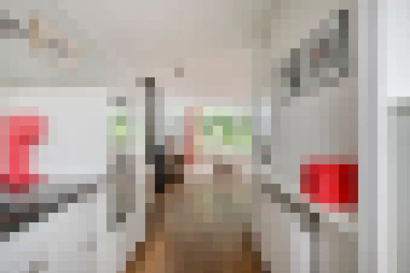 IJsvogel 80 Maarssen thumbnail 14