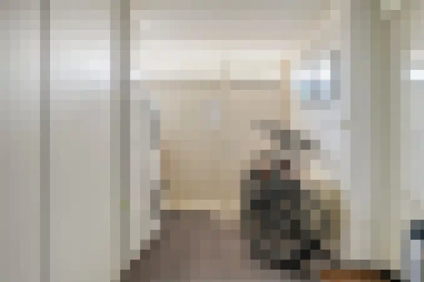 IJsvogel 80 Maarssen thumbnail 15