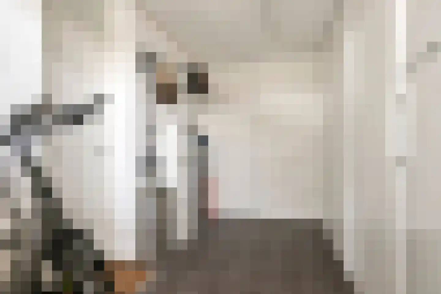 IJsvogel 80 Maarssen thumbnail 16