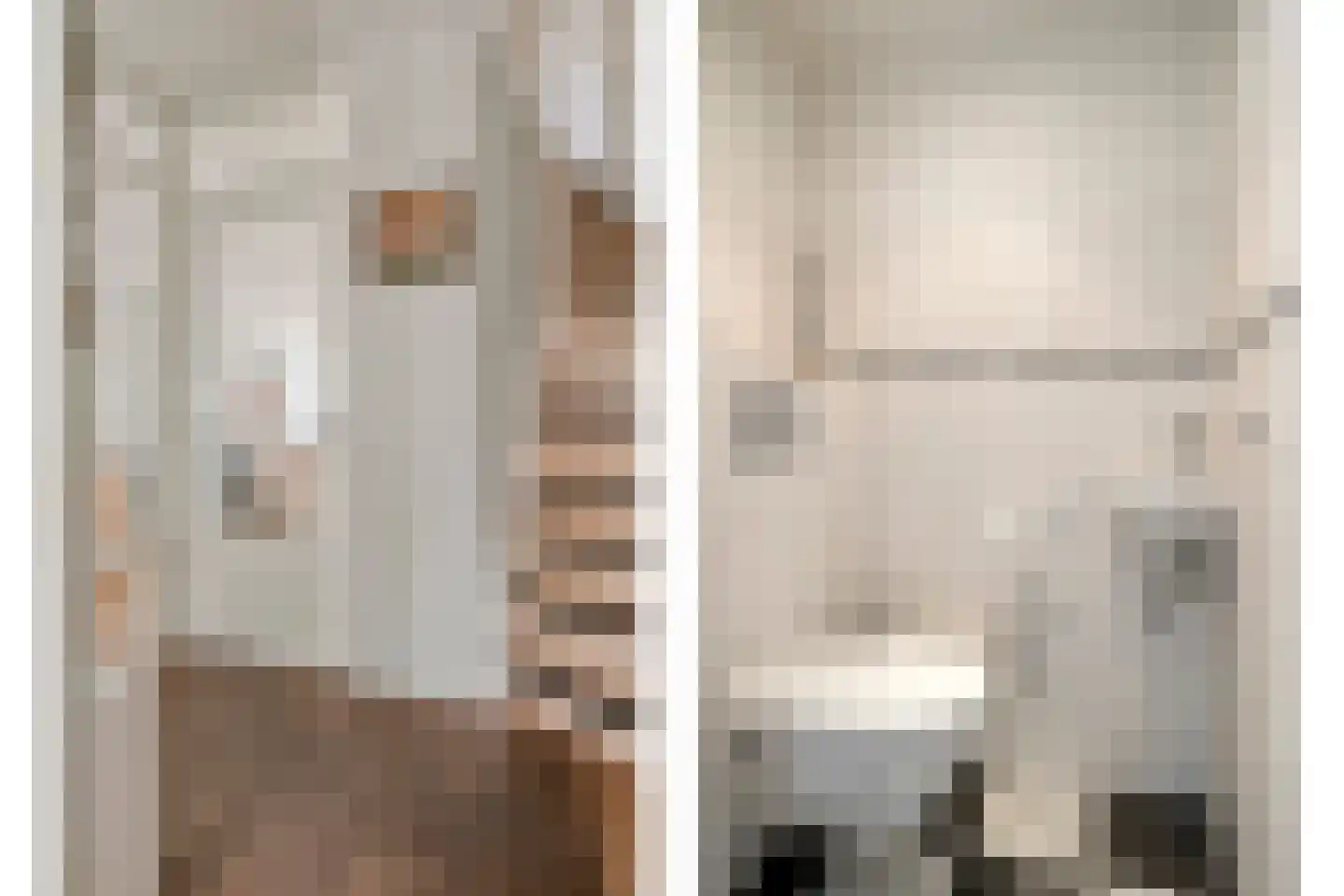 IJsvogel 80 Maarssen thumbnail 18