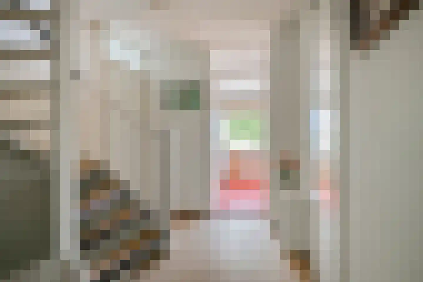 IJsvogel 80 Maarssen thumbnail 19