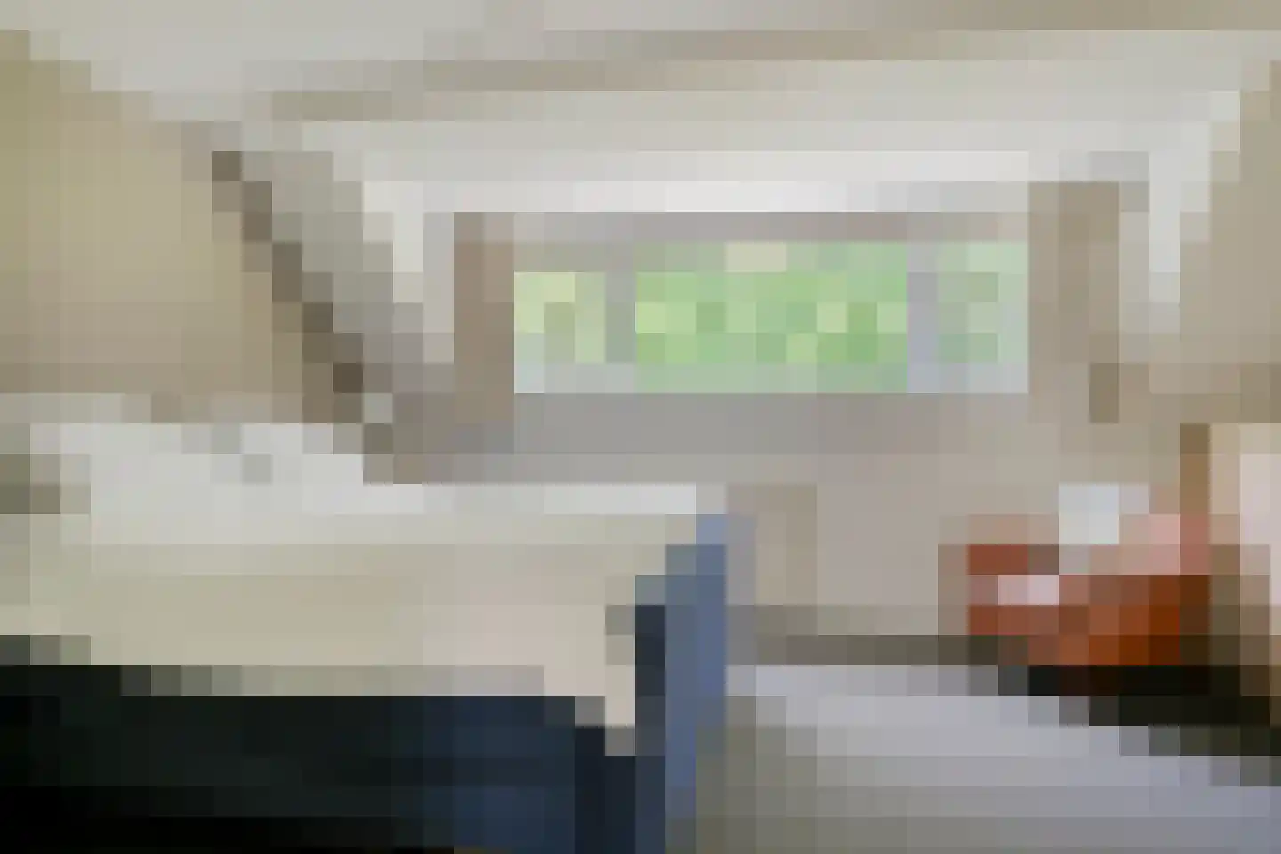 IJsvogel 80 Maarssen thumbnail 20