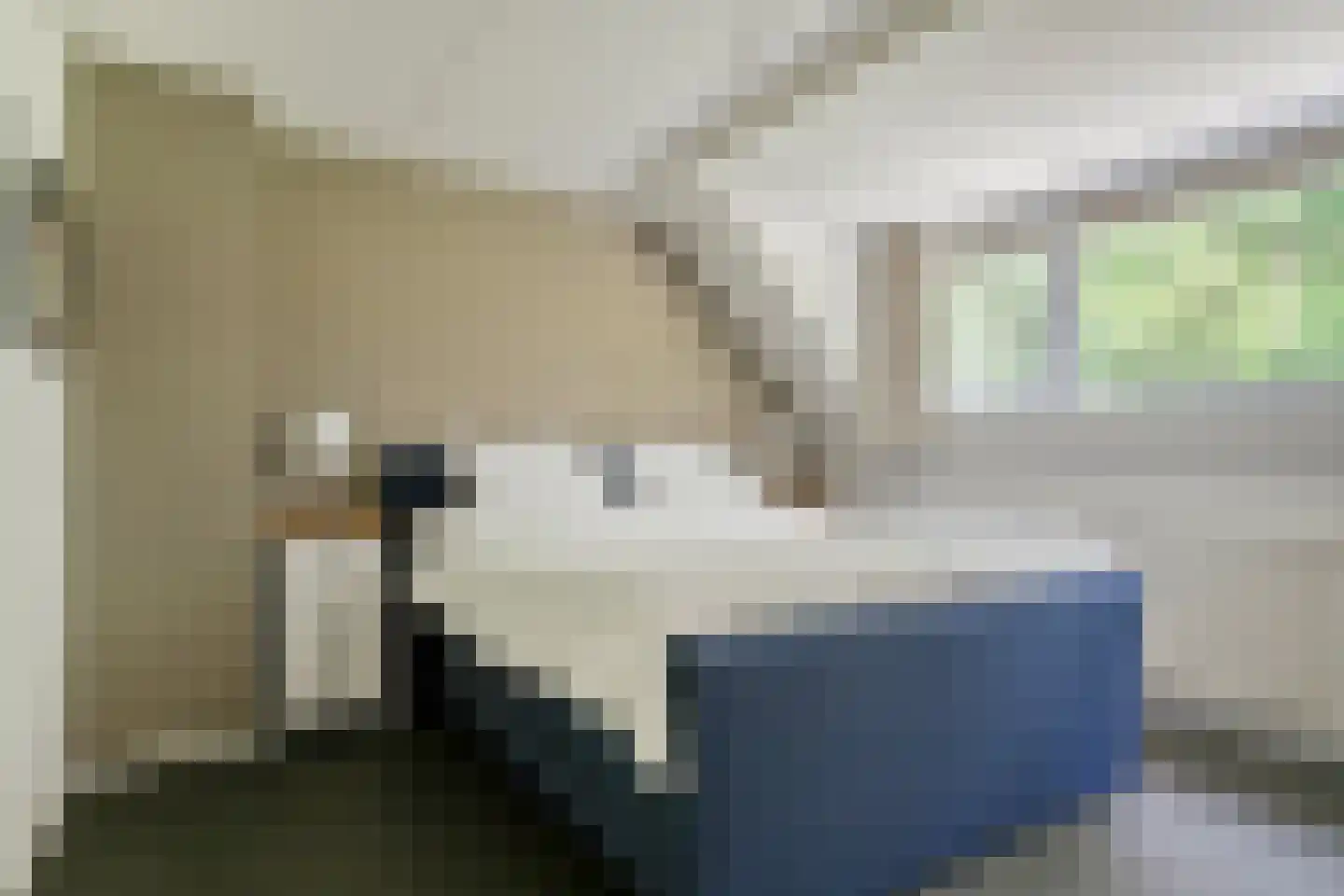IJsvogel 80 Maarssen thumbnail 21