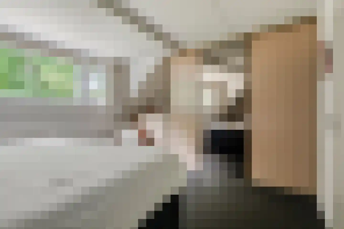 IJsvogel 80 Maarssen thumbnail 22