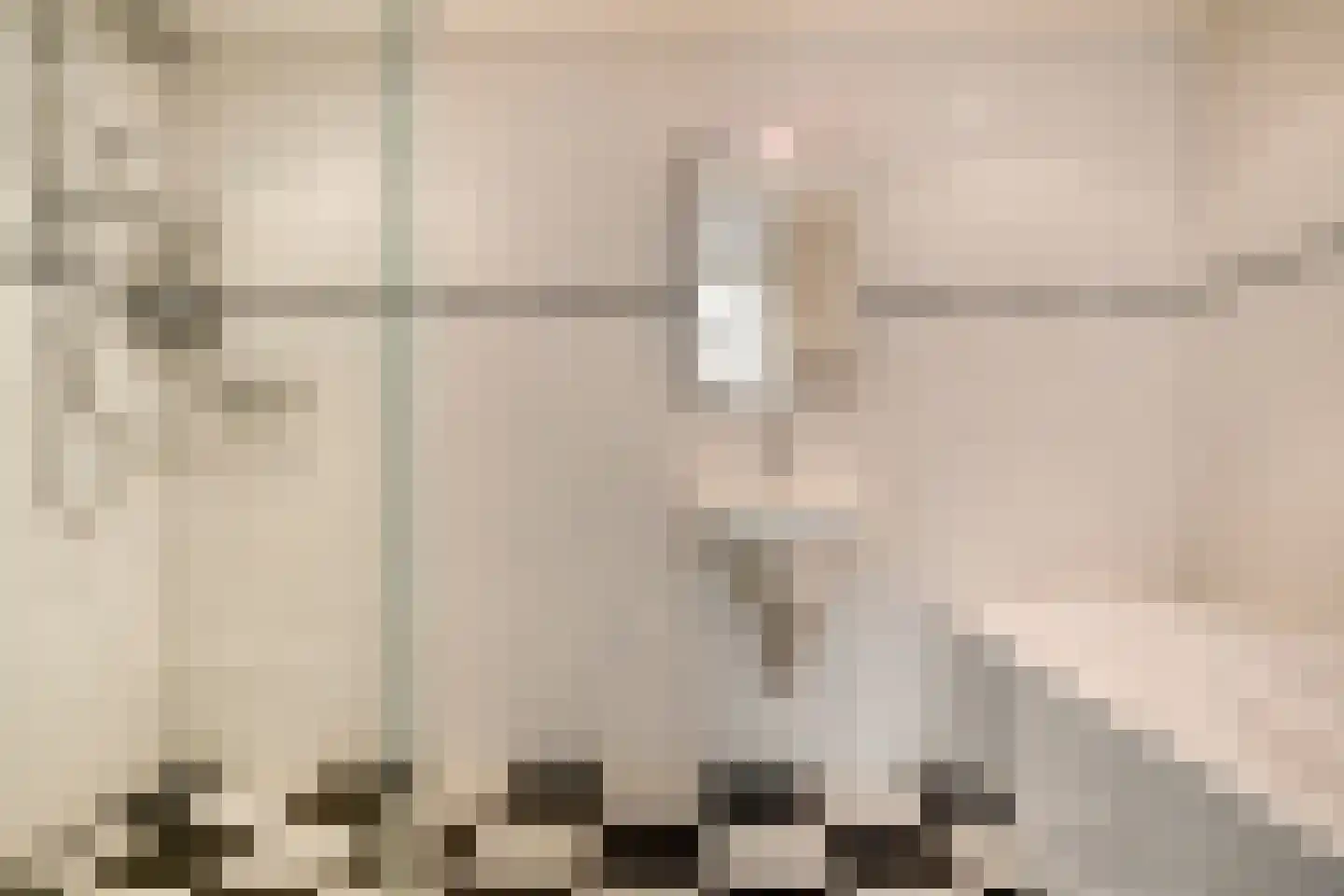 IJsvogel 80 Maarssen thumbnail 23