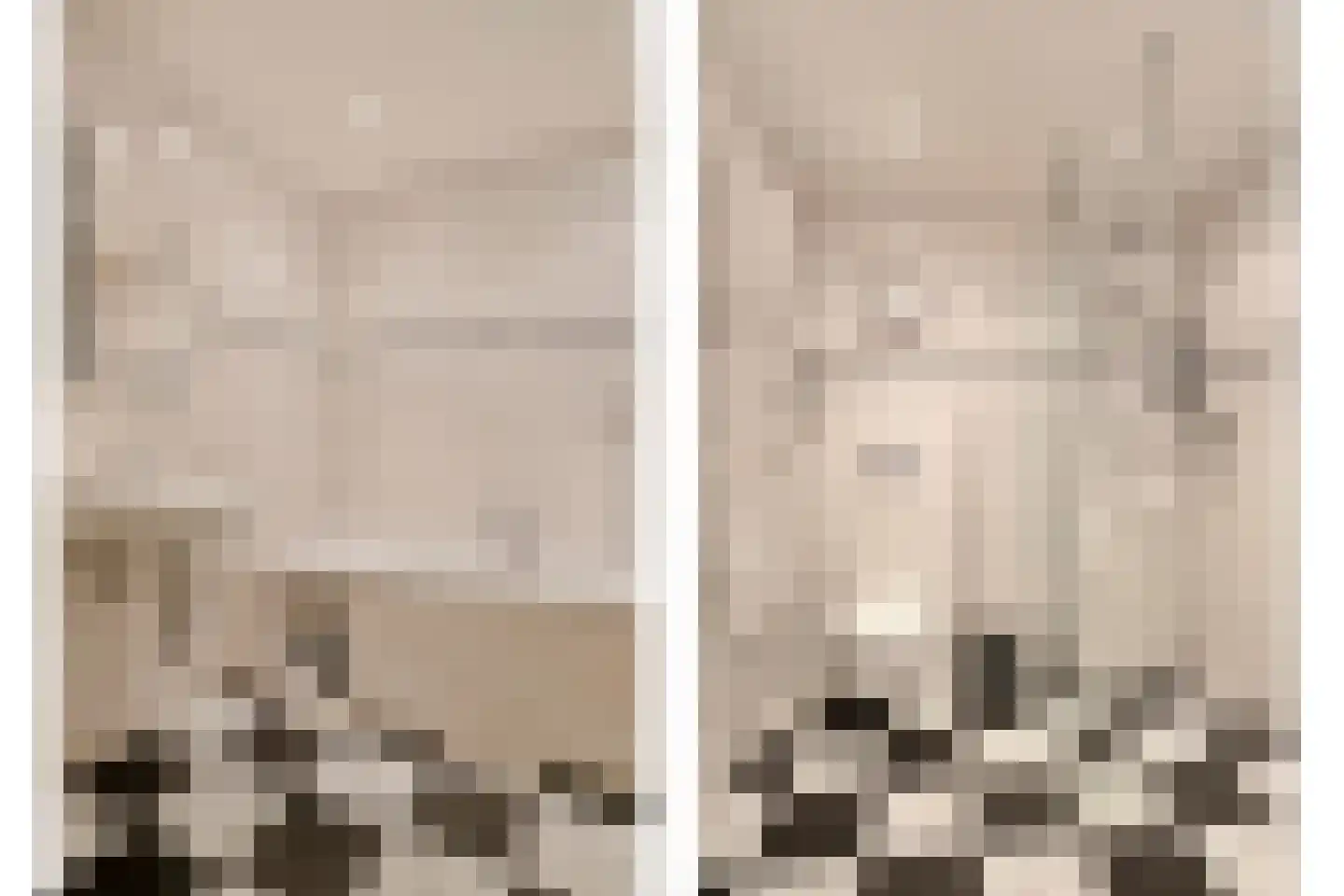 IJsvogel 80 Maarssen thumbnail 24
