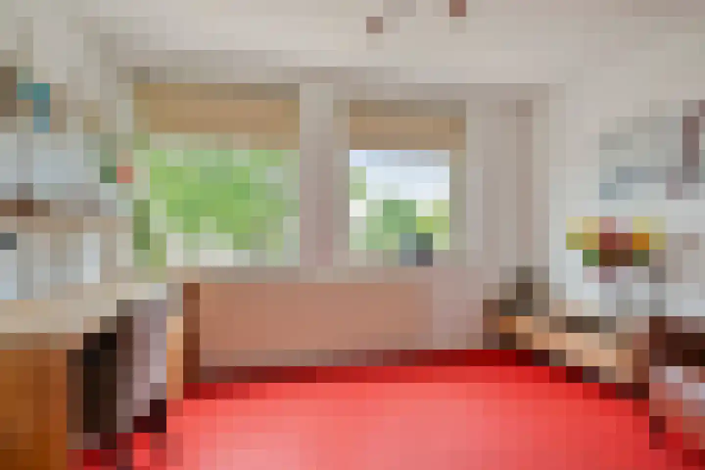 IJsvogel 80 Maarssen thumbnail 25