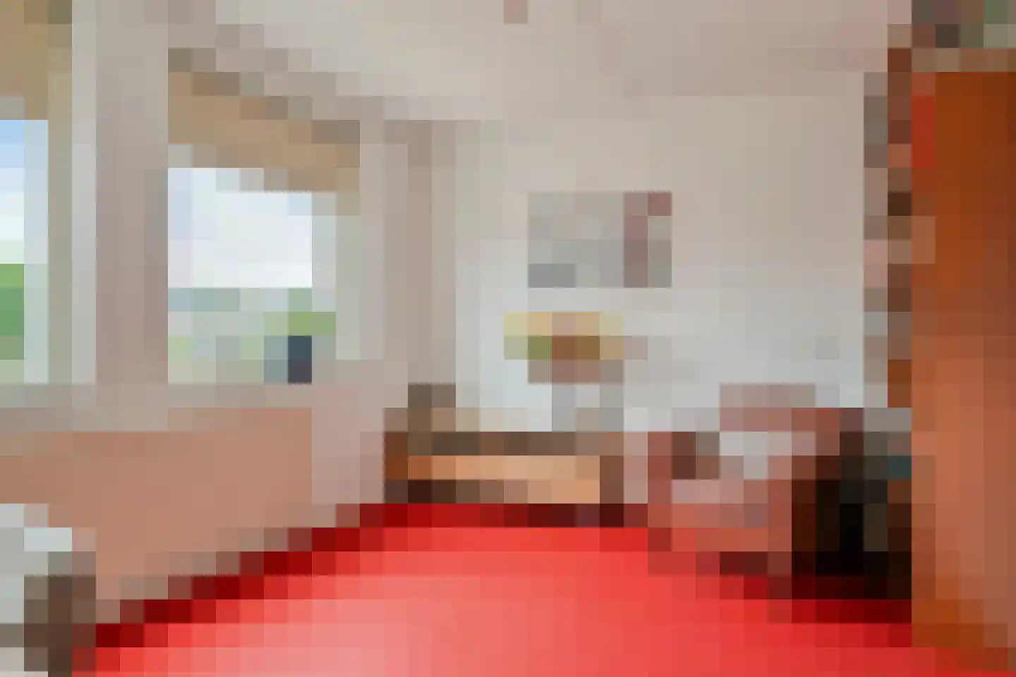 IJsvogel 80 Maarssen thumbnail 26