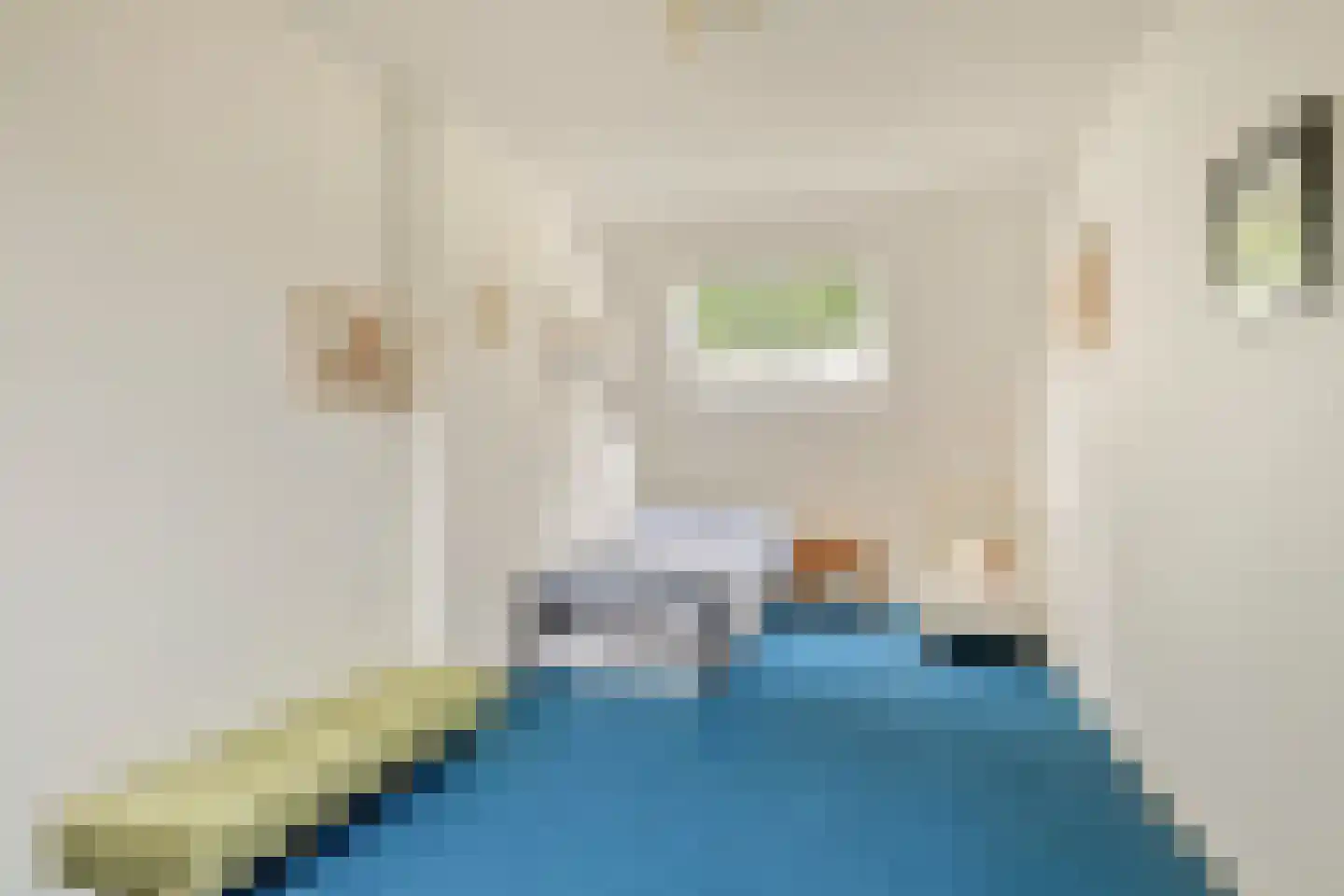IJsvogel 80 Maarssen thumbnail 27