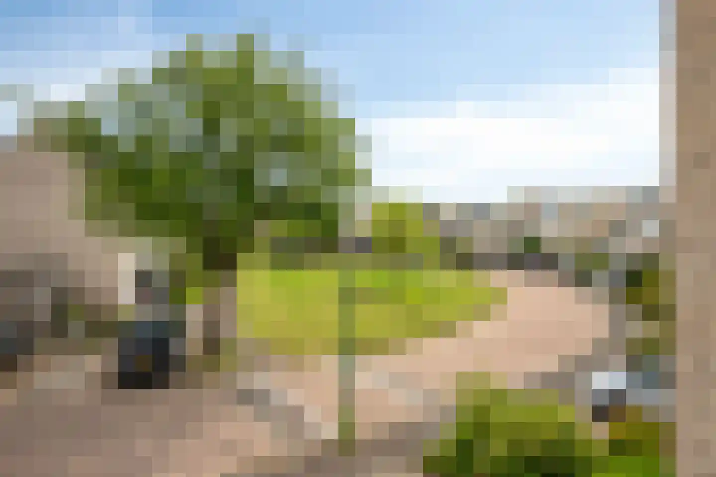IJsvogel 80 Maarssen thumbnail 30
