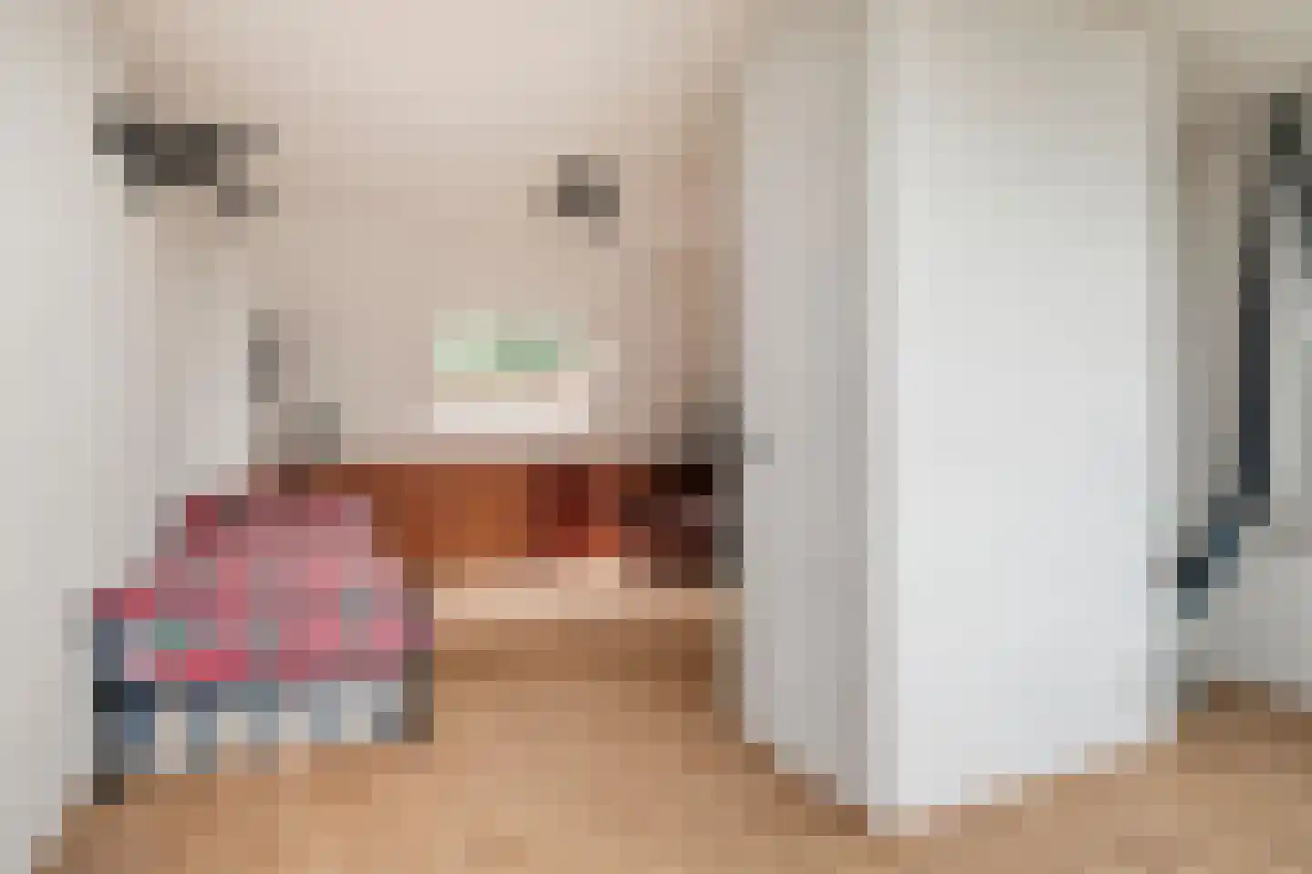 IJsvogel 80 Maarssen thumbnail 33