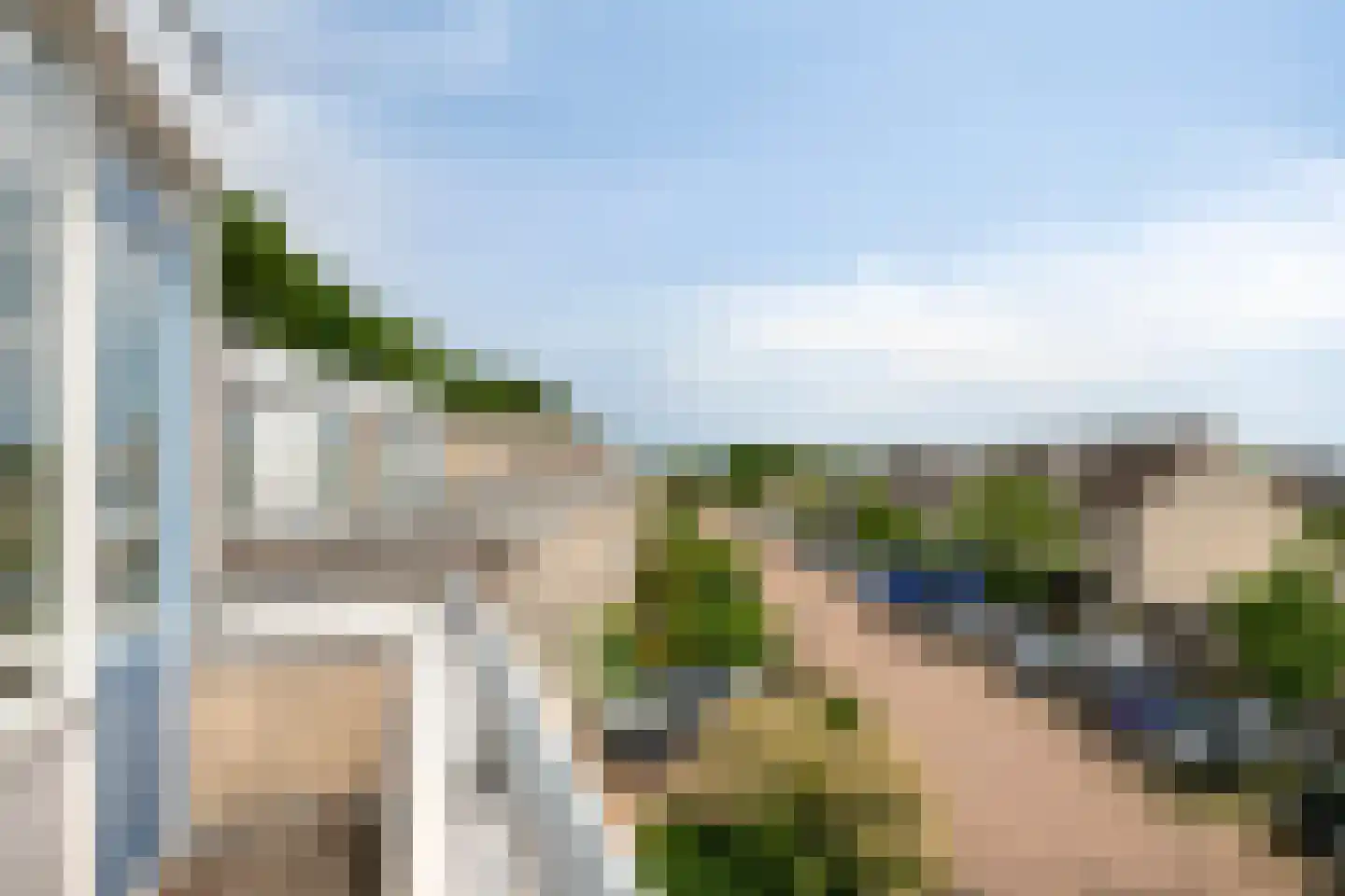 IJsvogel 80 Maarssen thumbnail 34