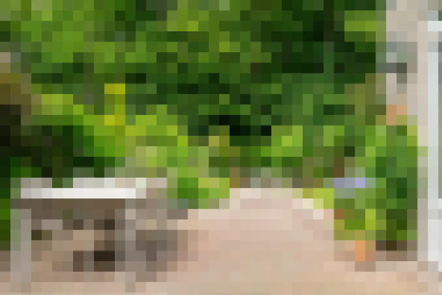 IJsvogel 80 Maarssen thumbnail 35