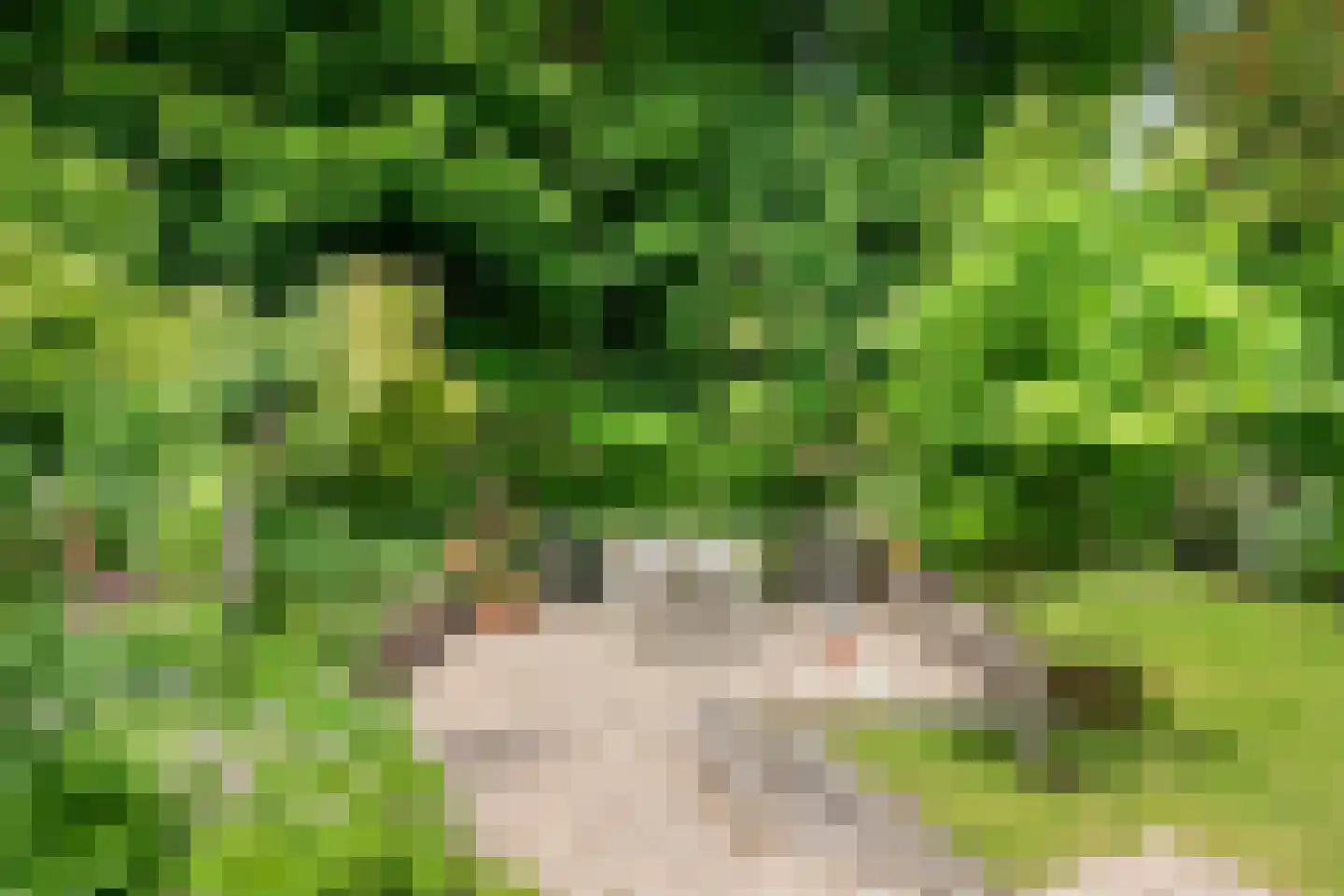 IJsvogel 80 Maarssen thumbnail 37