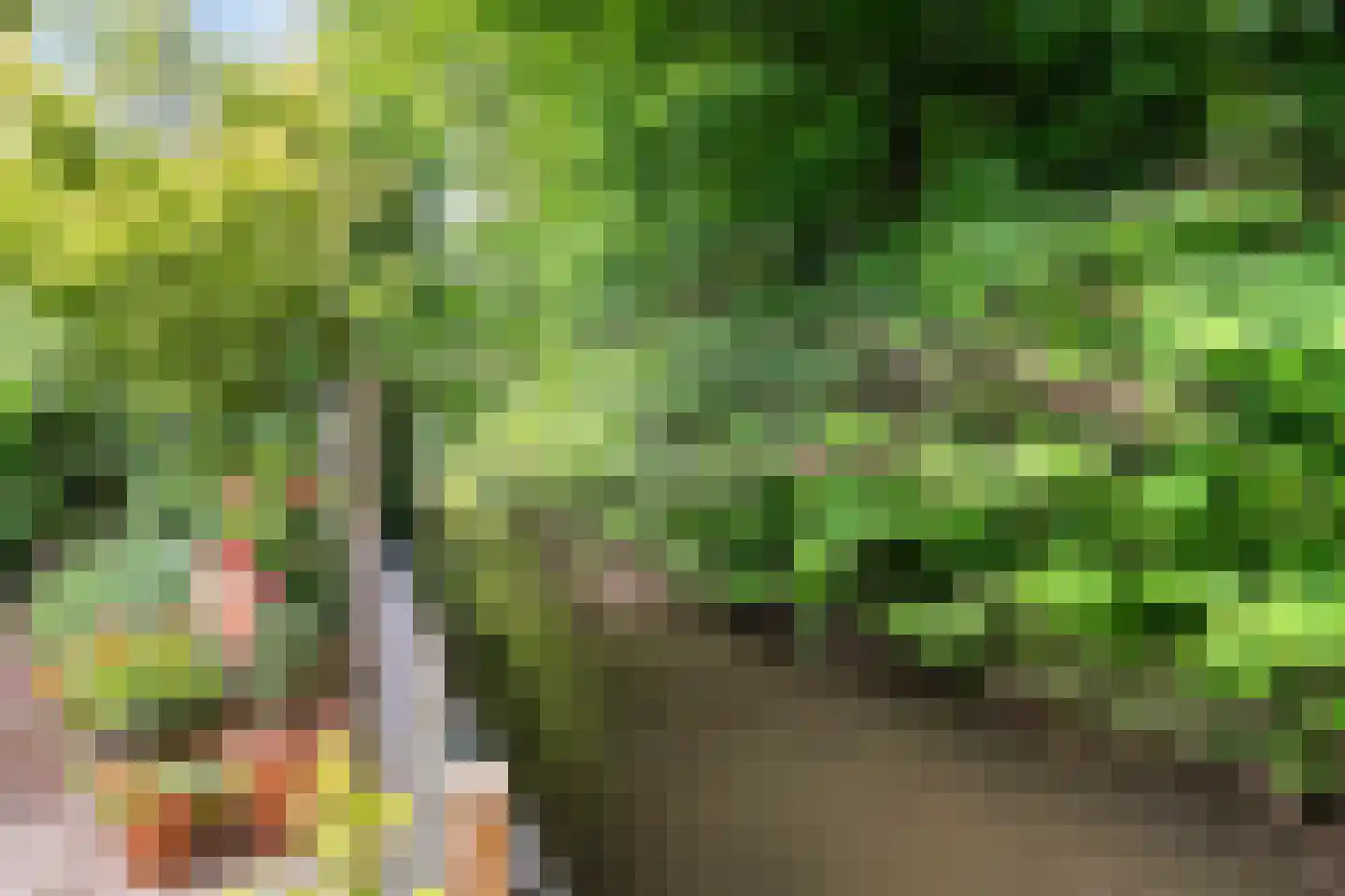 IJsvogel 80 Maarssen thumbnail 38