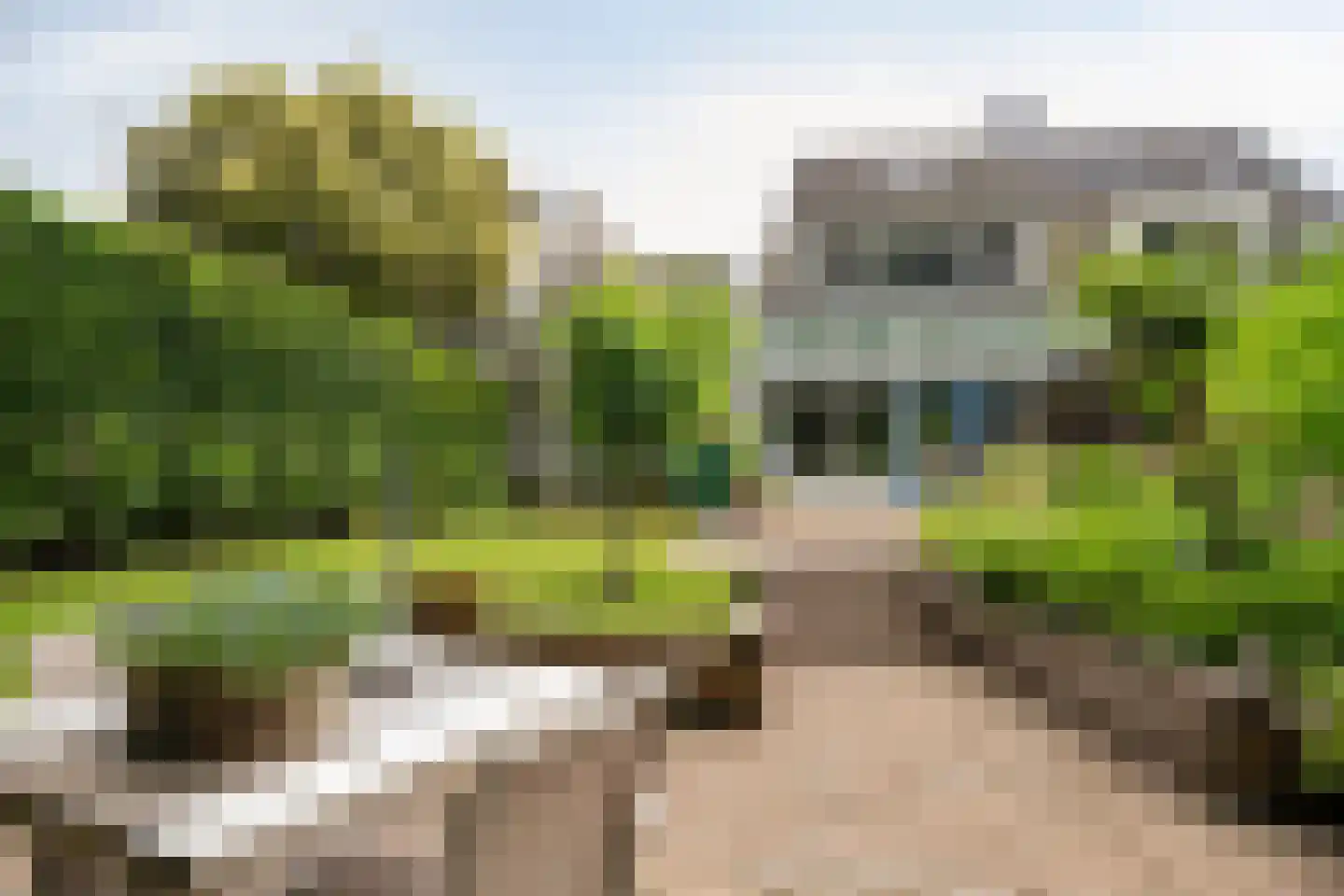 IJsvogel 80 Maarssen thumbnail 39
