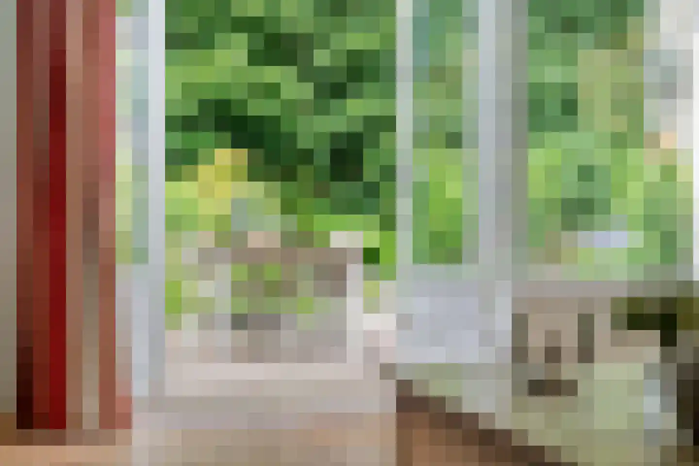 IJsvogel 80 Maarssen thumbnail 4
