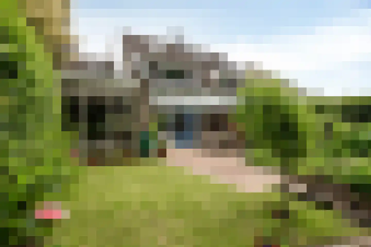 IJsvogel 80 Maarssen thumbnail 40