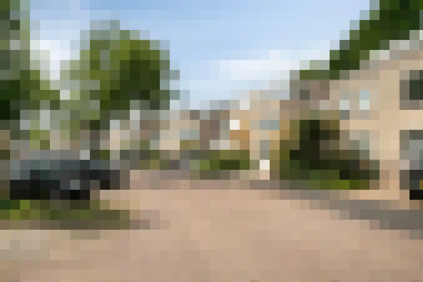 IJsvogel 80 Maarssen thumbnail 41