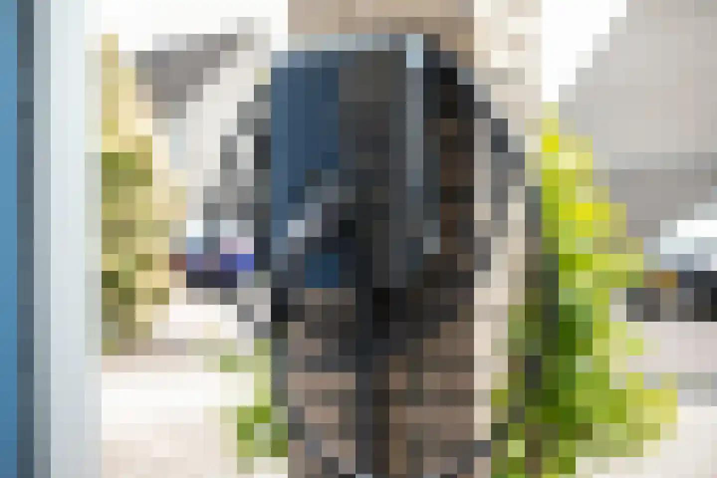 IJsvogel 80 Maarssen thumbnail 42